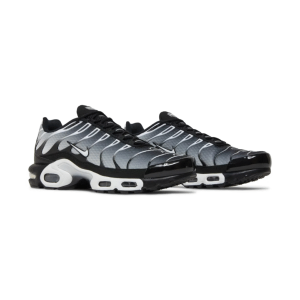Air Max TN Plus "Black Metallic Silver"
