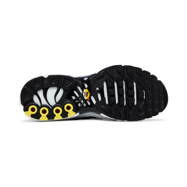 Air Max TN Plus "Killer Whale"